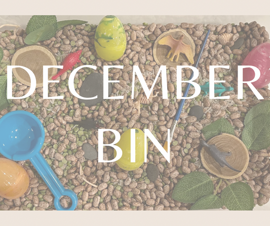 December Bin - Dino Dig