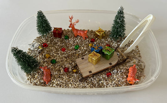 Santa’s Reindeer Sensory Bag